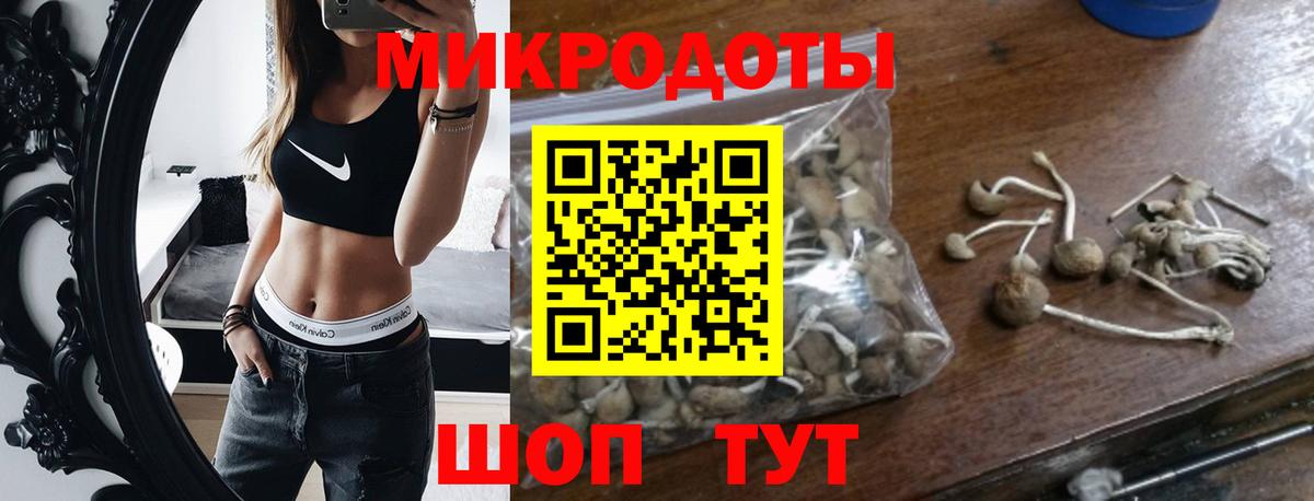 Галлюциногенные грибы Psilocybine cubensis Энгельс